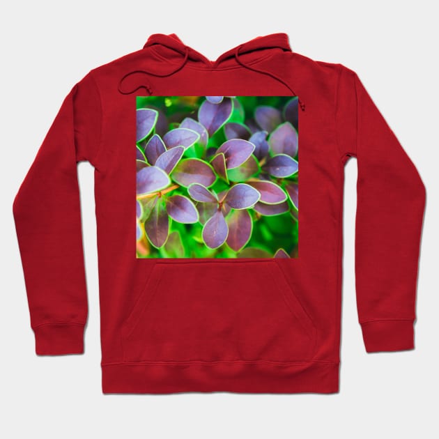 Vibrant green and purple leaves Hoodie by PLdesign